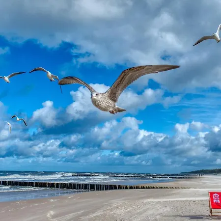 Rezydencja Niechorze 328 Z Z Basenem, Sauna, Jacuzzi Gratis, Przy Samej Plazy - 5D Apartments Lejlighed Niechorze