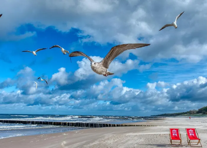 328 Z Z Basenem, Sauna, Jacuzzi Gratis, Przy Samej Plazy - 5d شقة نيخوجة